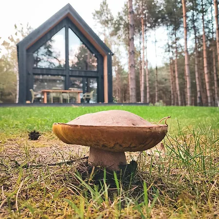 펜션 W Lesie Rozogi