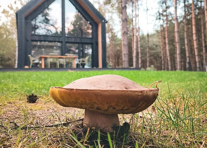 Feriehus W Lesie Rozogi